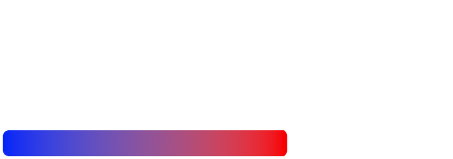 XP Bar